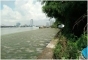 ที่ดินเปล่า ติดถนนพระราม 3 และ ติดแม่น้ำเจ้าพระยา